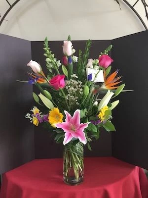 Spring Sensation