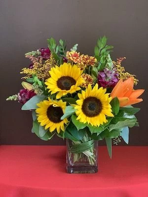 Sunshine of Fall