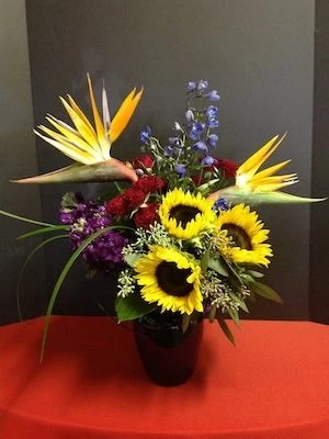 Sunflowers and Bird of Paradise Evening Star