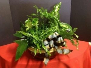 Dish Garden