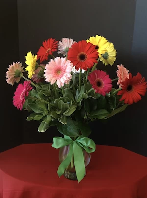 1 Dozen of Gerbera Daisys