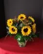 Autumn Blooms of Sunflowers