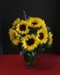 Dozen Sunflowers