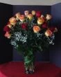 3 dozen sunset-colored roses, three dozen of long stems assorted roses, an assortment of red and circus roses