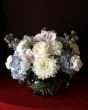 Blue Skye of Flowers