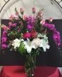 The Beauty of Flowers