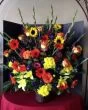 Summer Splash of Colorful Blooms
