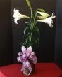 Easter Lilies Plant 6 Inch