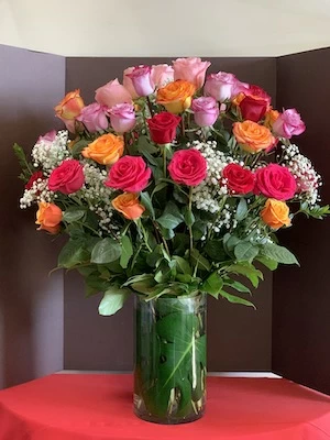 The history of roses