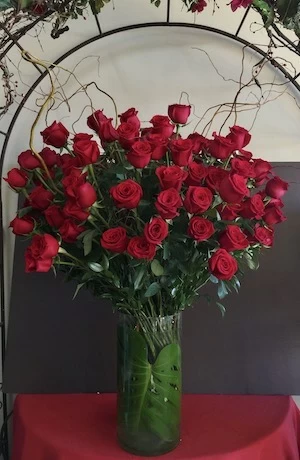 Perfect roses