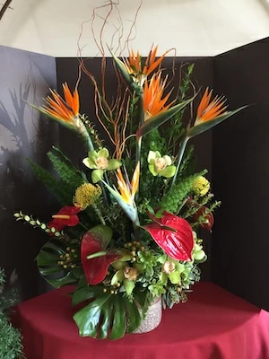 Types of flowers from Hawaii