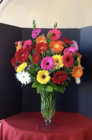 Love of a daisies