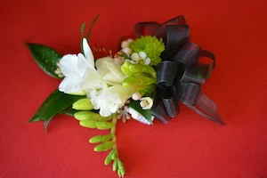 Freesia