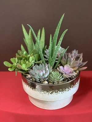 Housewarming flowers