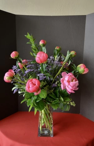 peonies flowers