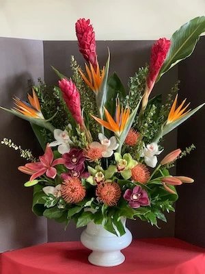 Tropical flowers