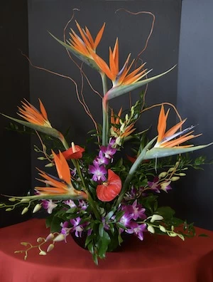 Best florist -Enchanted Florist
