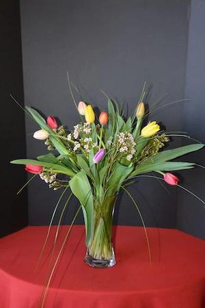 Assorted colors of tulips