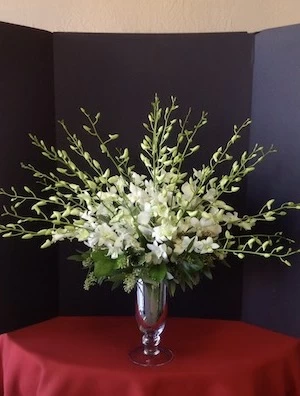 orchids are the king of flowers